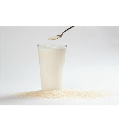 Bebida de Arroz en Polvo Probióticos 450 g (Junaeb)