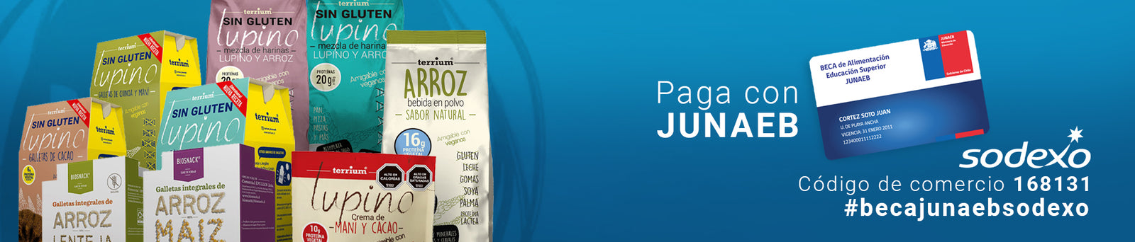 BATIDOS DE PROTEÍNAS JUNAEB